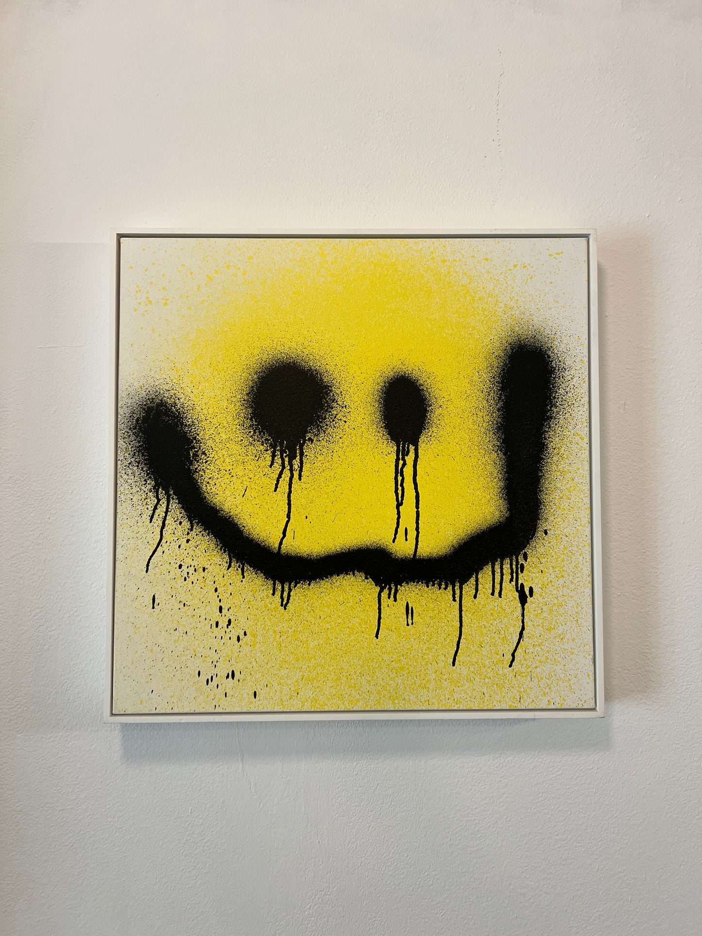 Katsu. Drone Smile. 2015